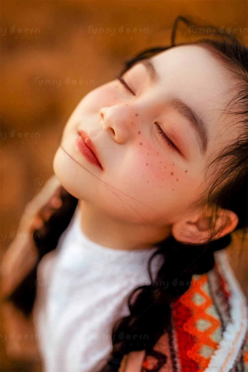 全家福 芳妮豆丁