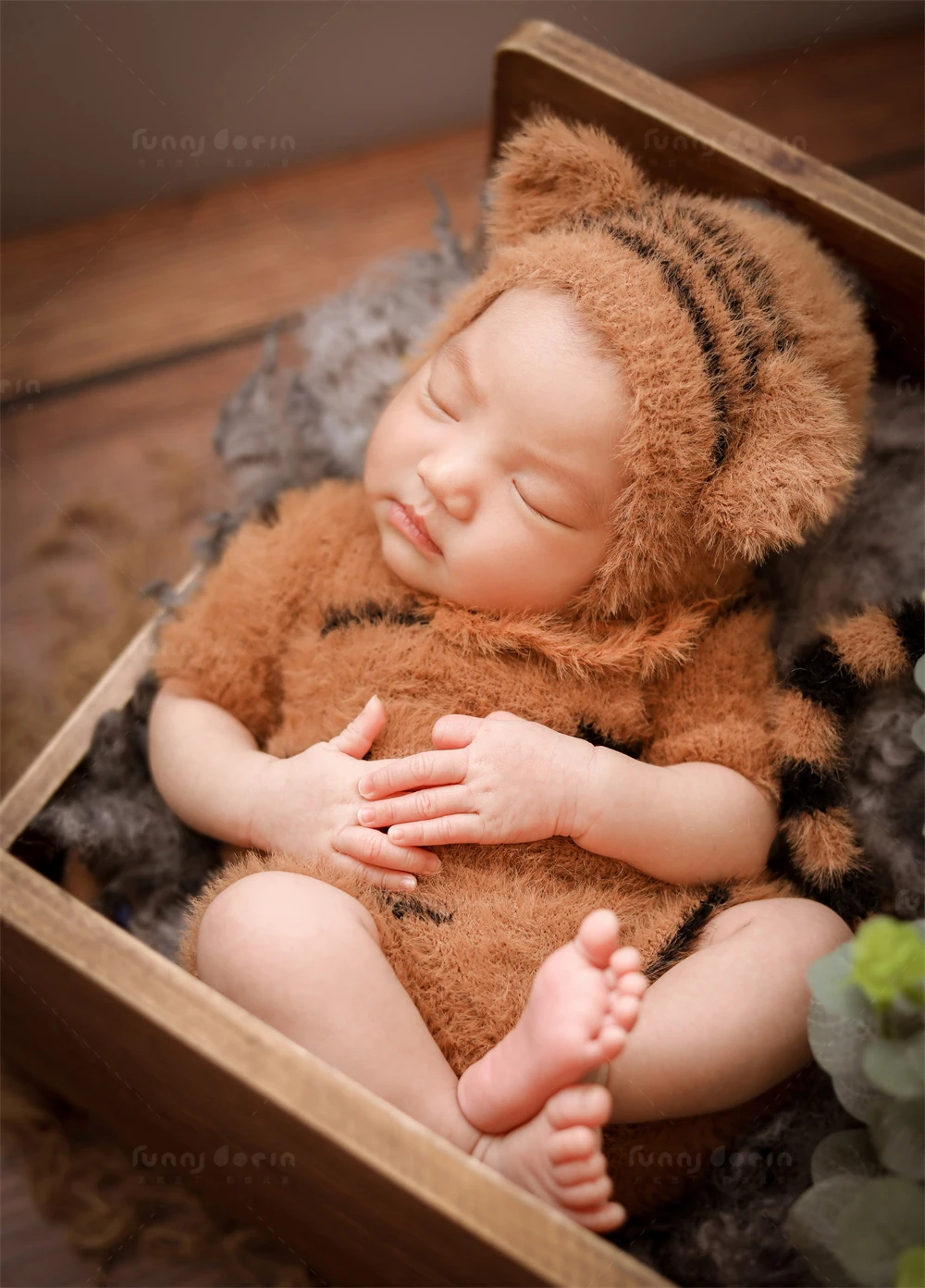 芳妮豆丁儿童摄影 萌虎呼啸