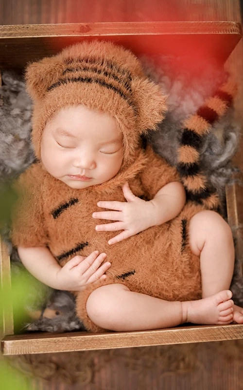 芳妮豆丁儿童摄影 萌虎呼啸