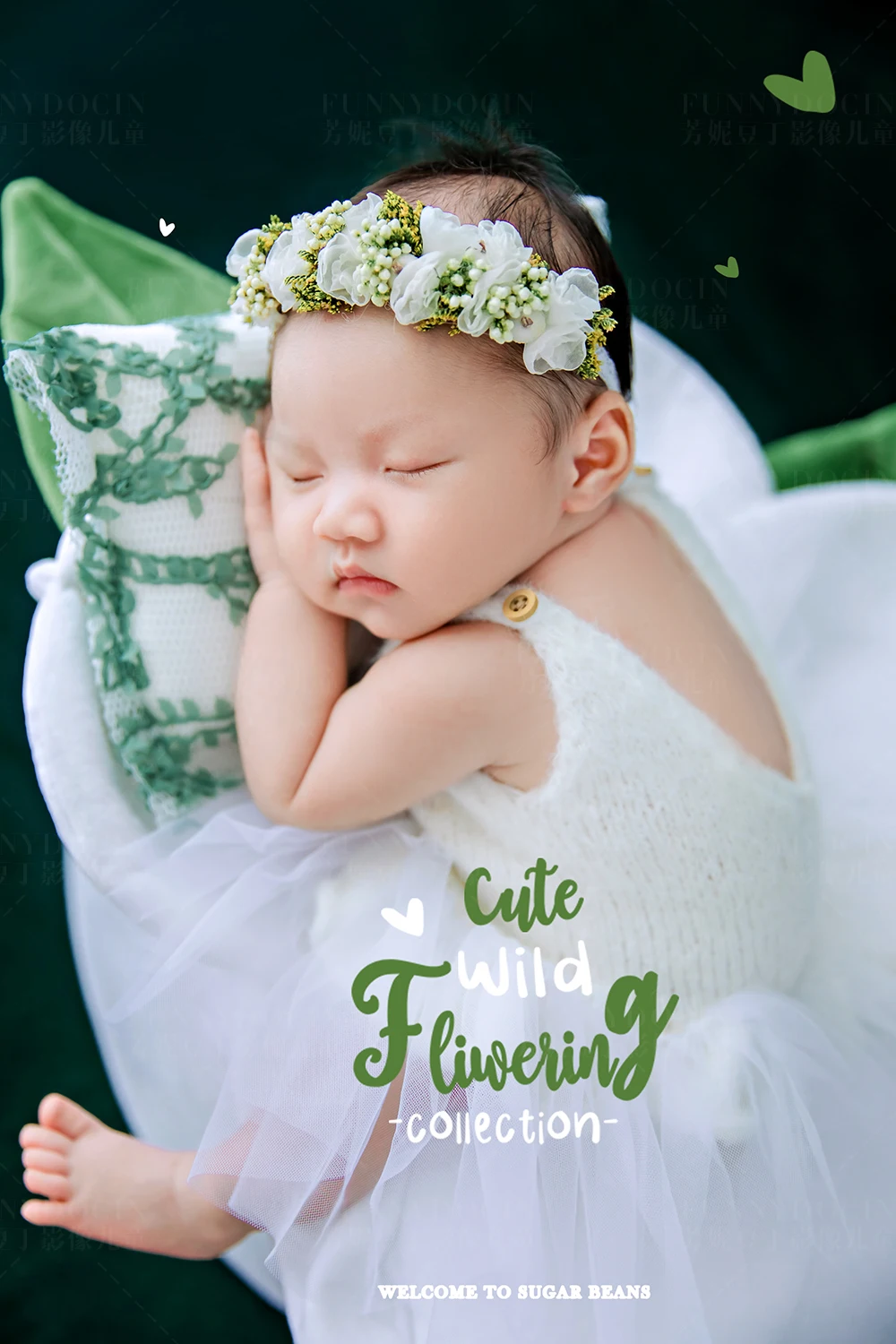 全家福 芳妮豆丁