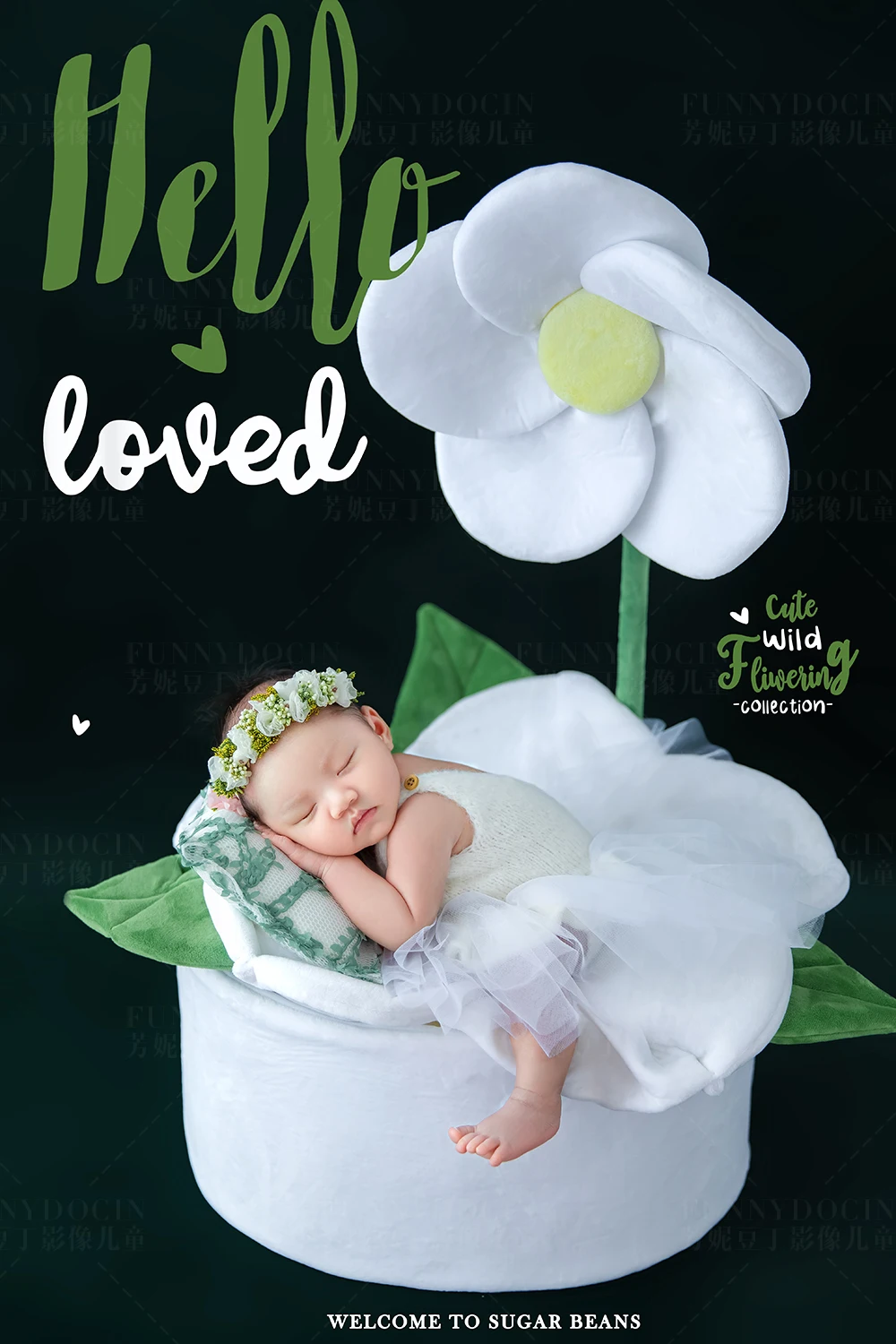 全家福 芳妮豆丁