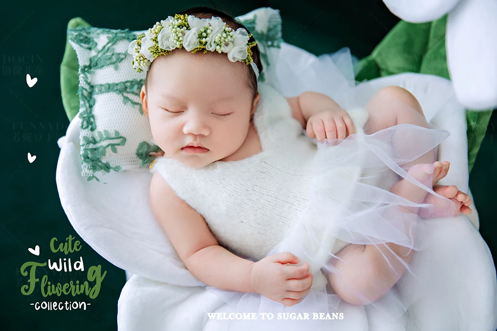 全家福 芳妮豆丁