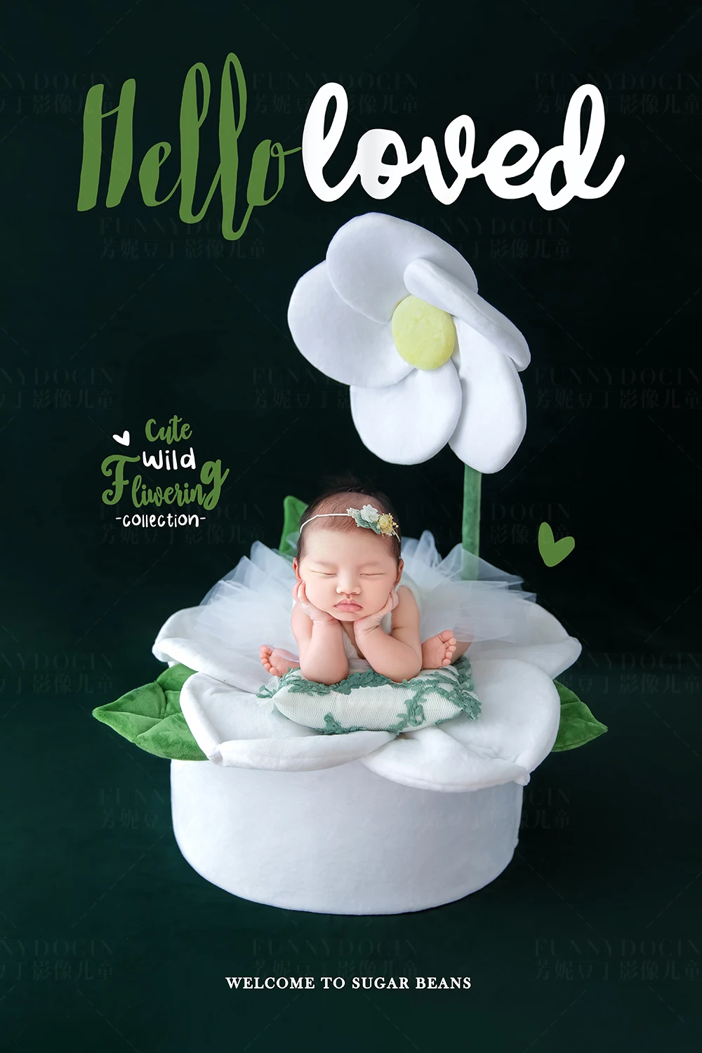 全家福 芳妮豆丁