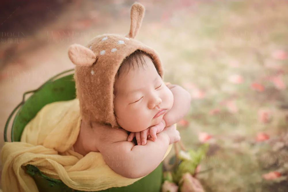 芳妮豆丁儿童摄影 森林小鹿