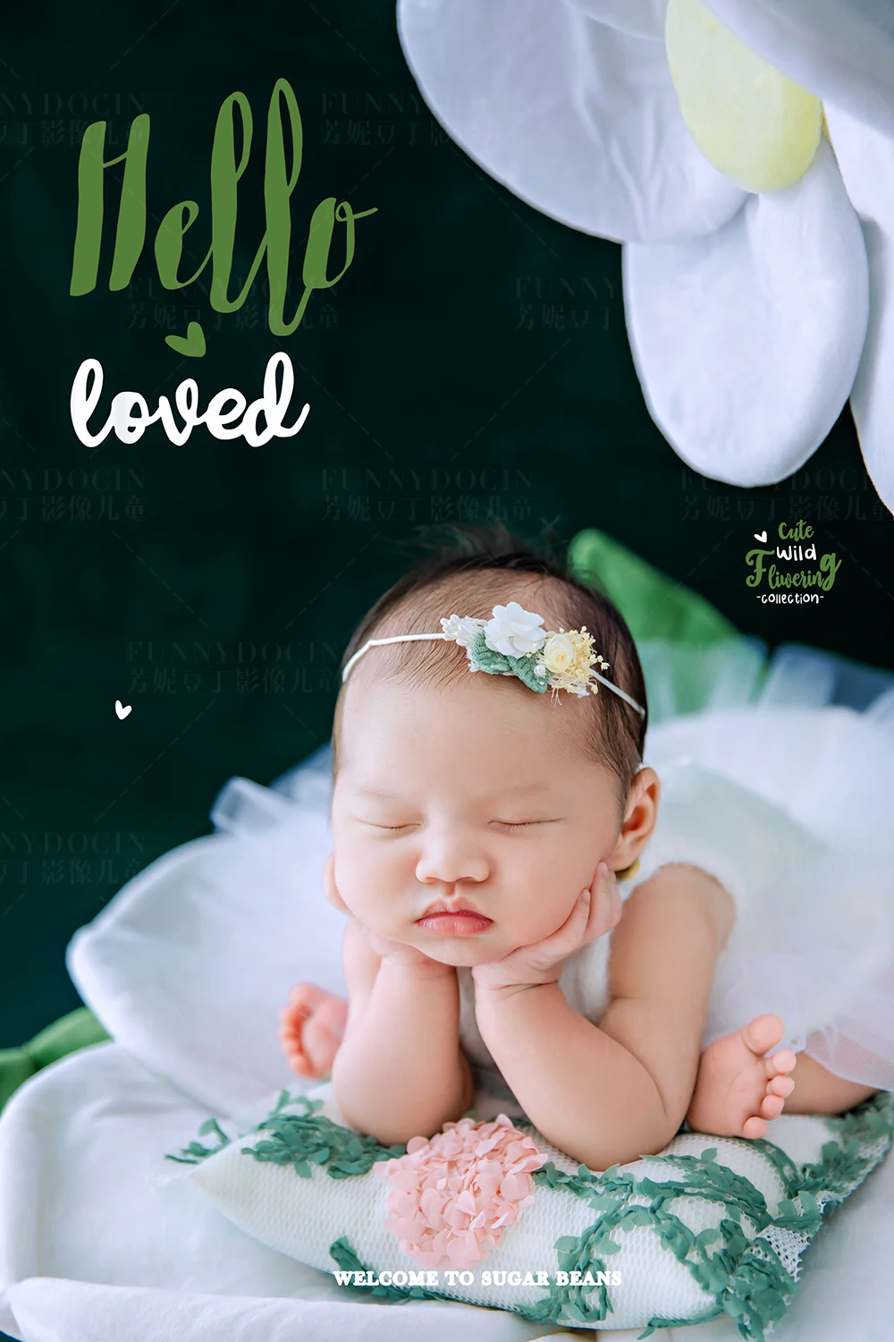 全家福 芳妮豆丁