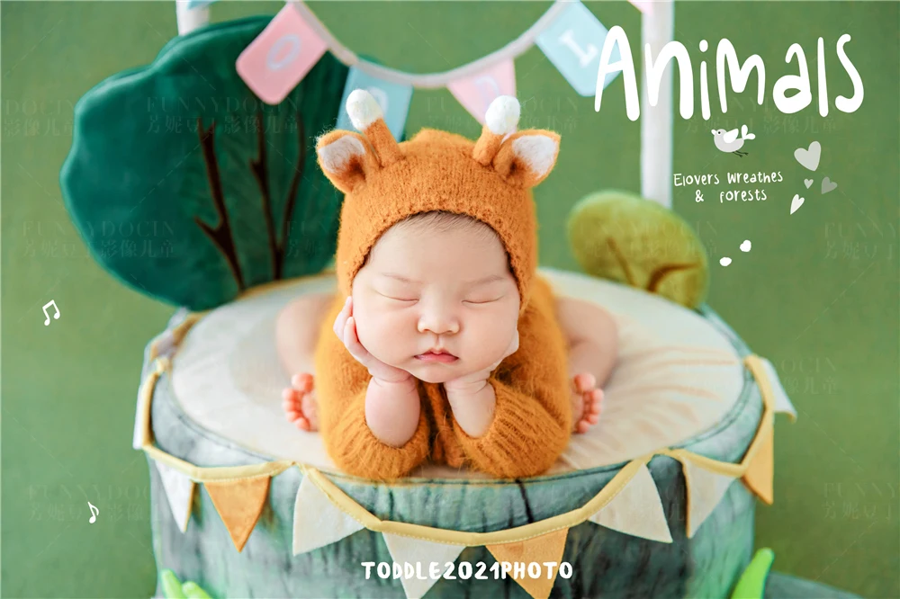 芳妮豆丁儿童摄影 森林派对