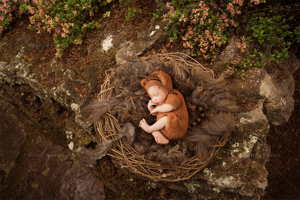 芳妮豆丁儿童摄影 萌虎呼啸