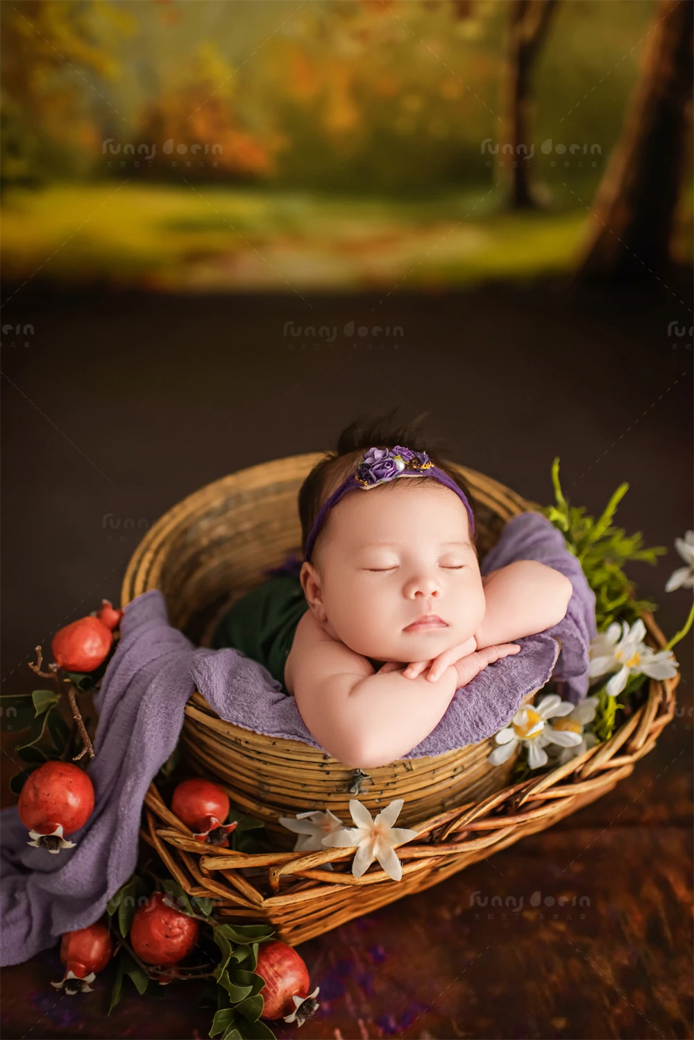 全家福 芳妮豆丁