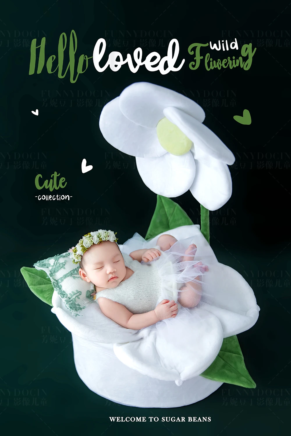 全家福 芳妮豆丁