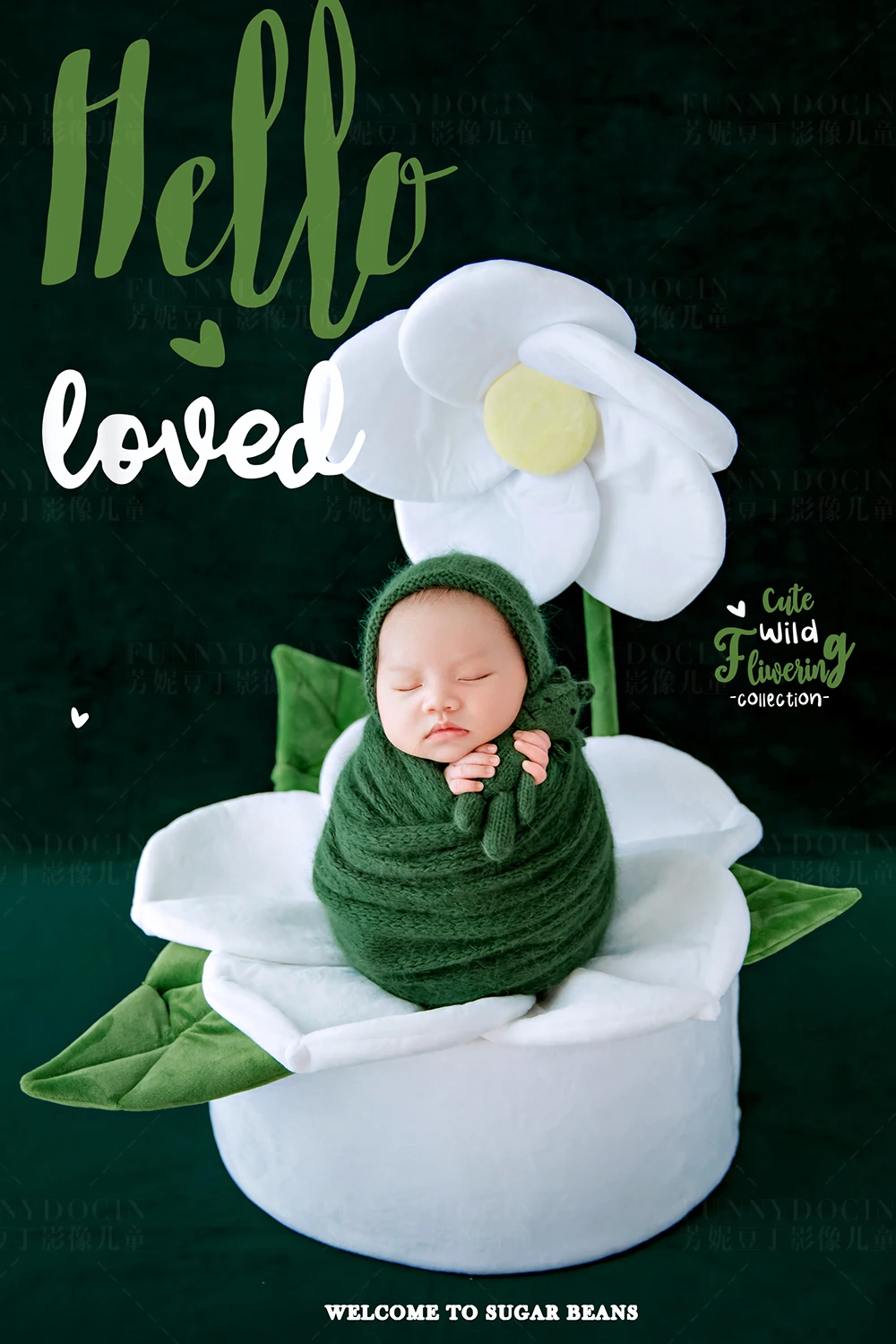 全家福 芳妮豆丁