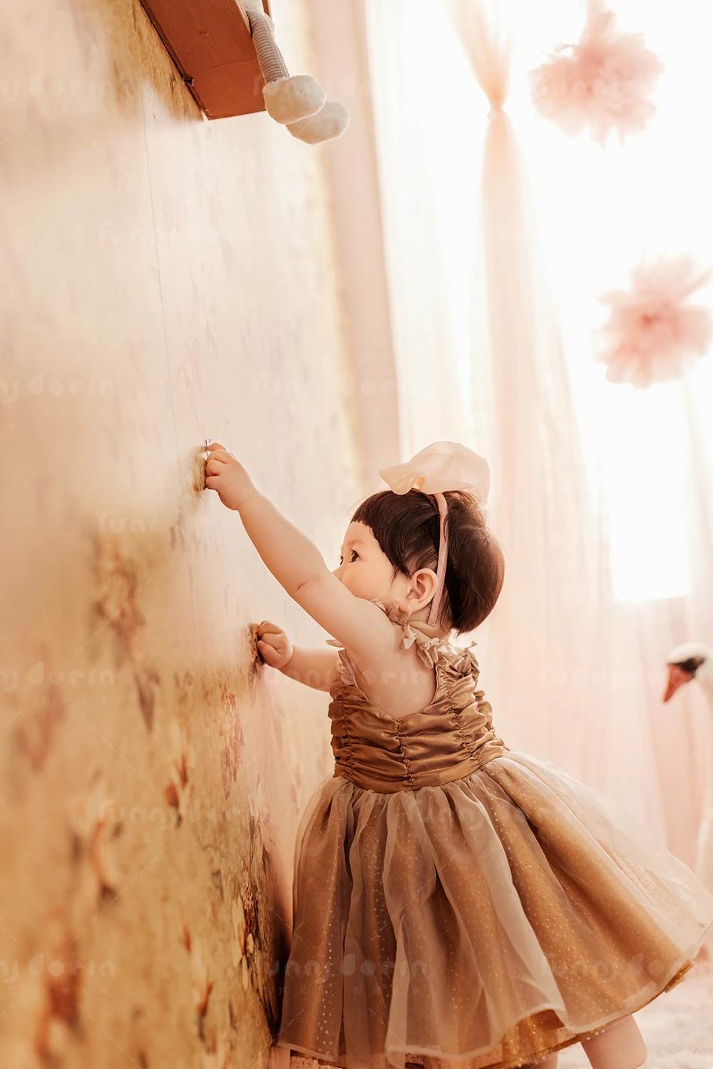 全家福 芳妮豆丁