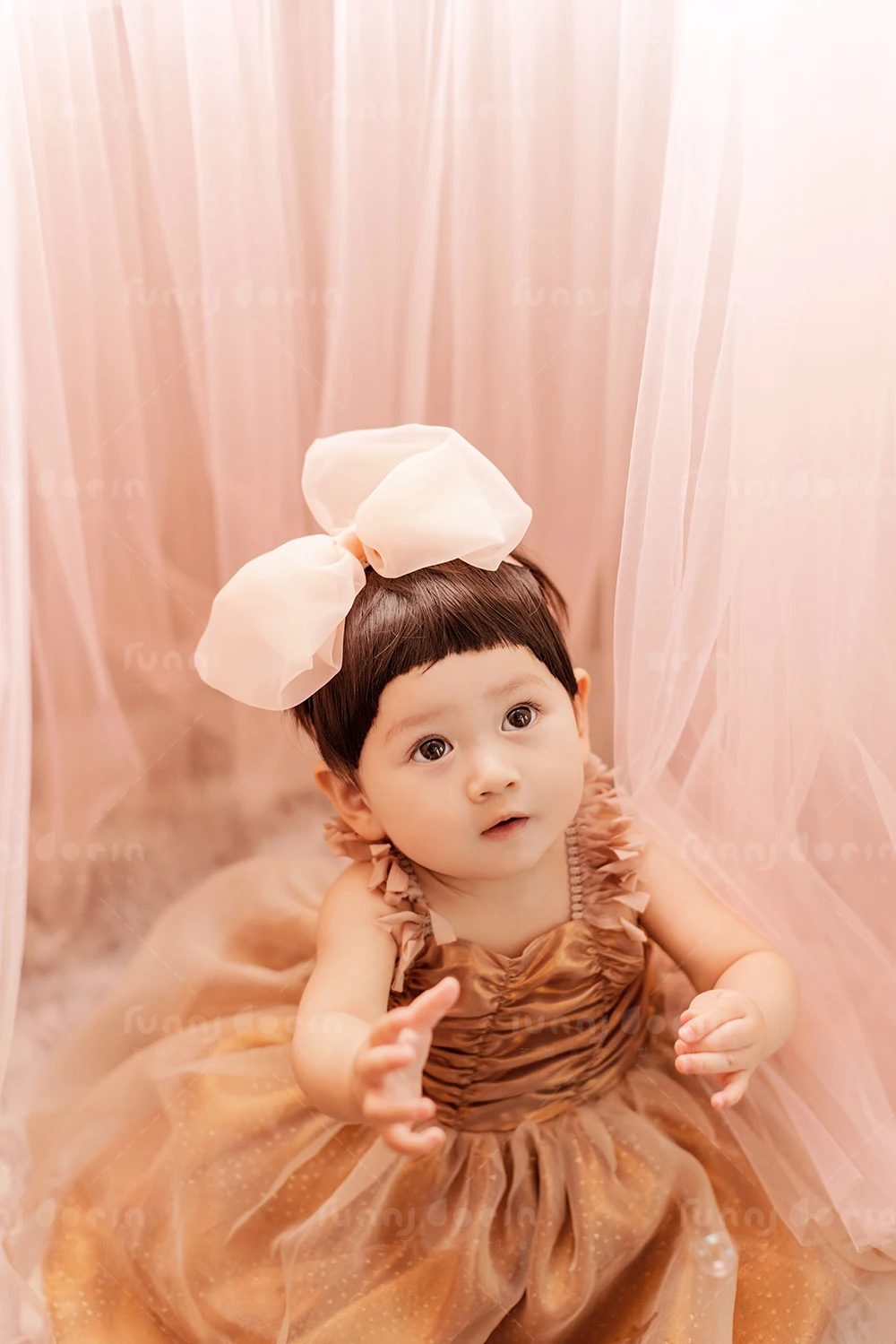 全家福 芳妮豆丁