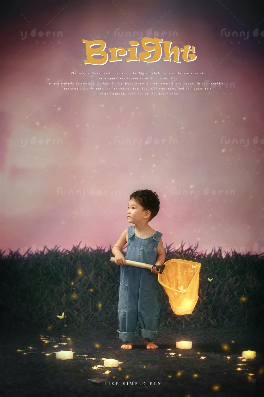 全家福 芳妮豆丁