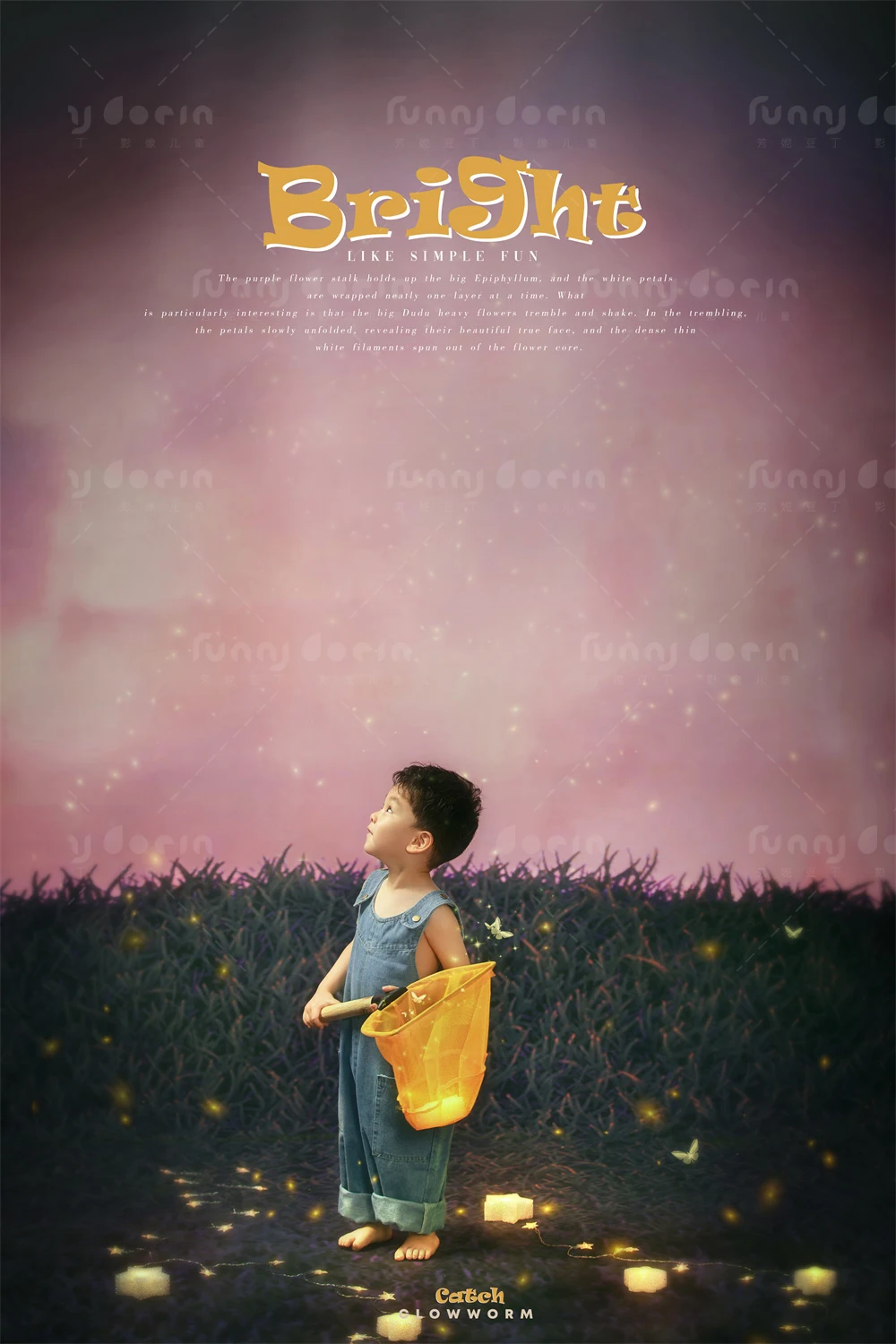 全家福 芳妮豆丁