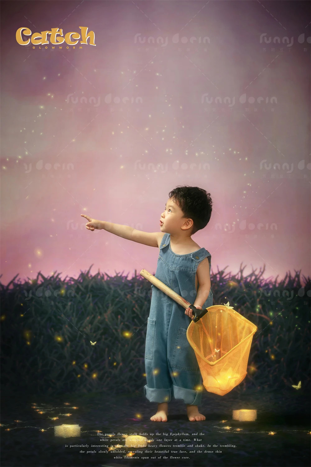 全家福 芳妮豆丁