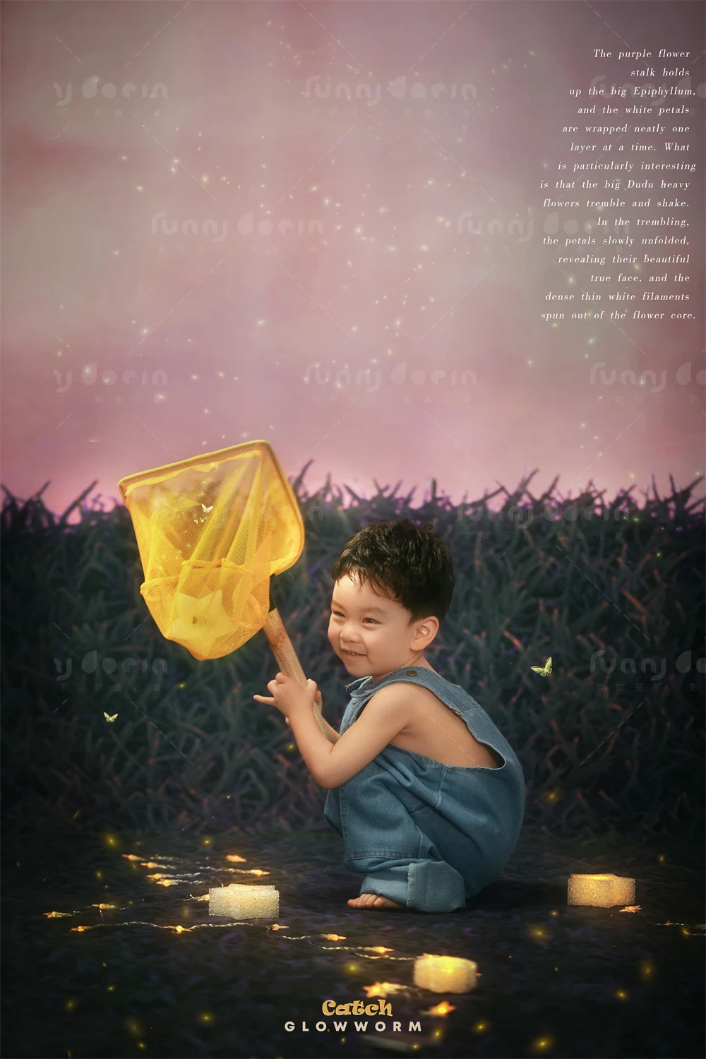 全家福 芳妮豆丁