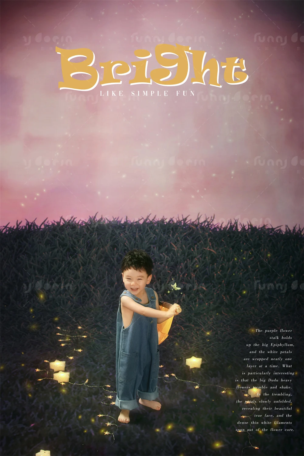 全家福 芳妮豆丁