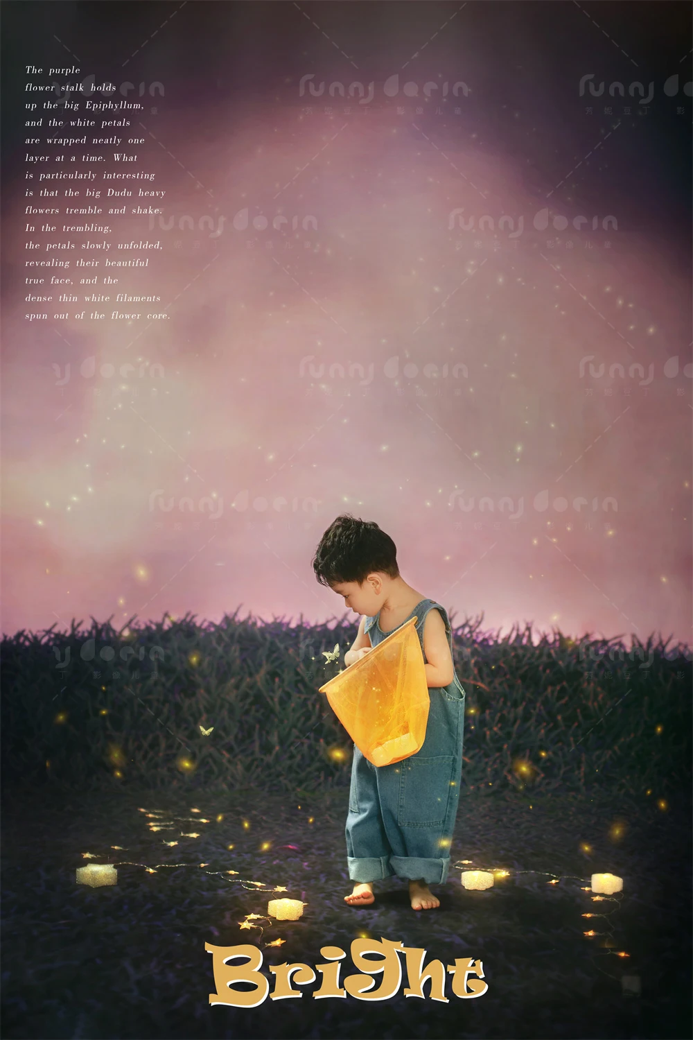 全家福 芳妮豆丁