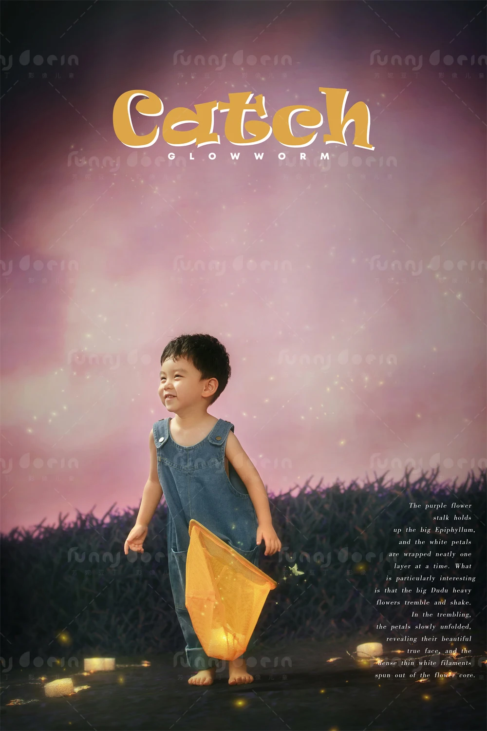 全家福 芳妮豆丁