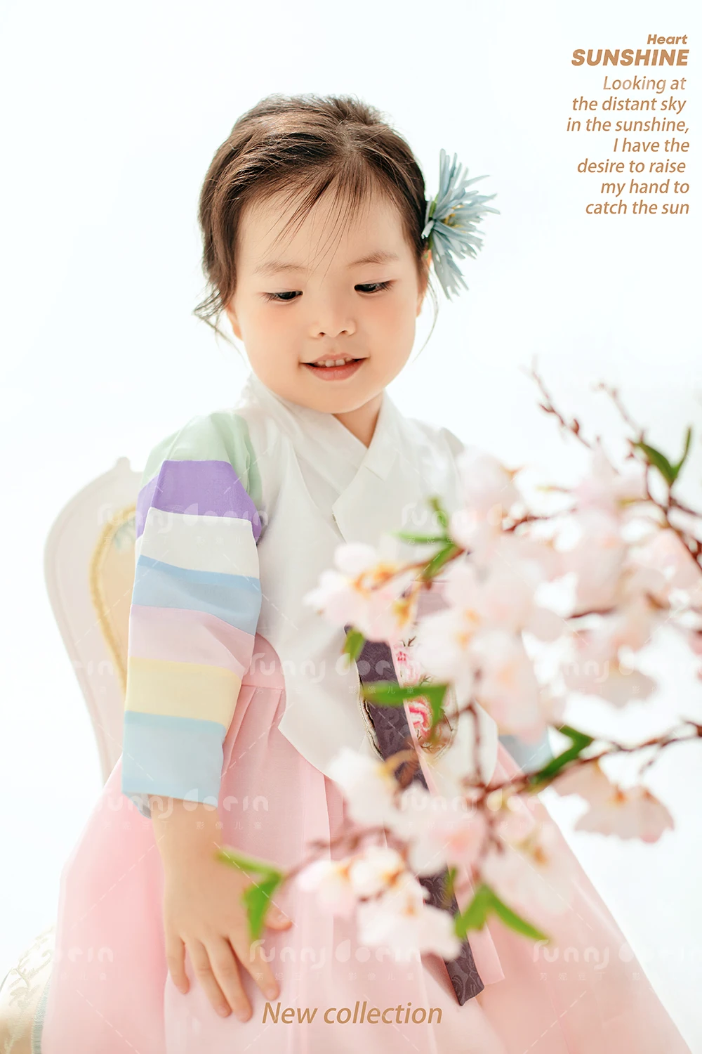 全家福 芳妮豆丁