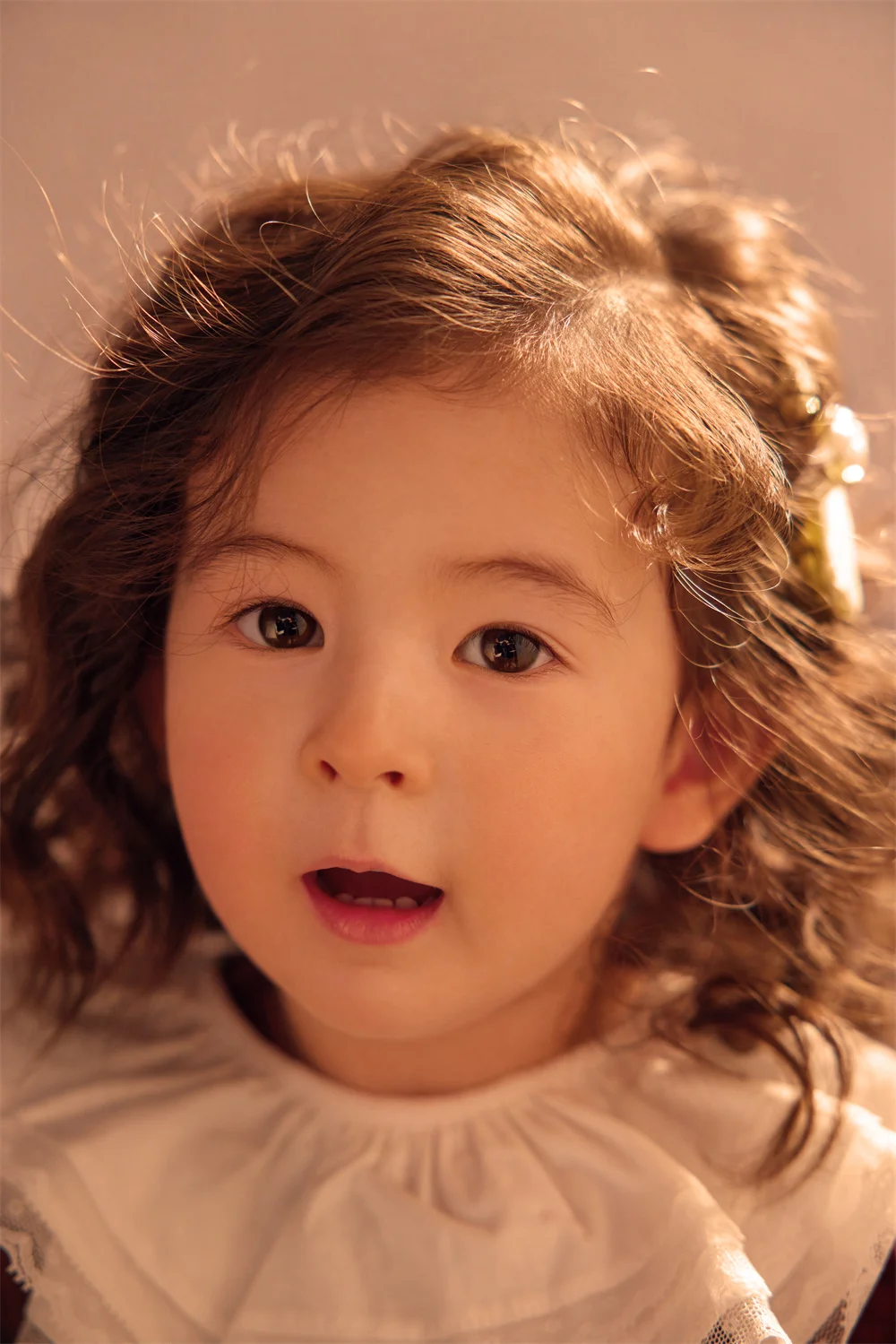 全家福 芳妮豆丁