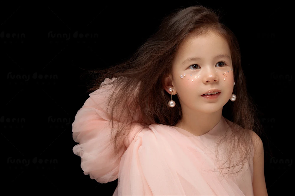 全家福 芳妮豆丁