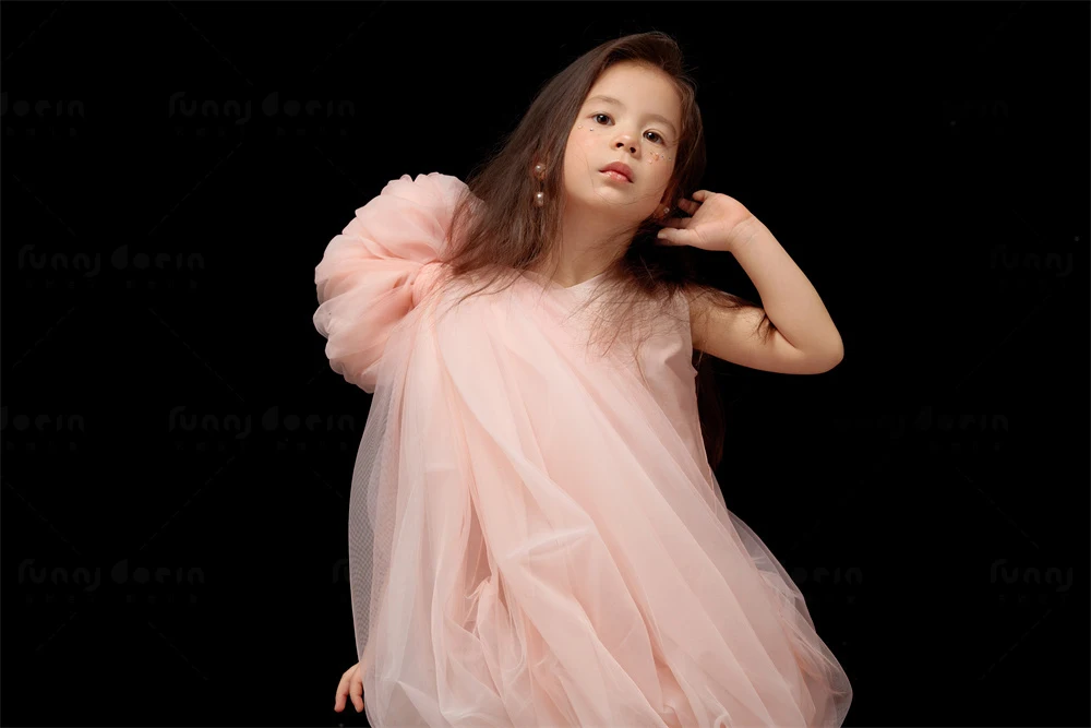 全家福 芳妮豆丁