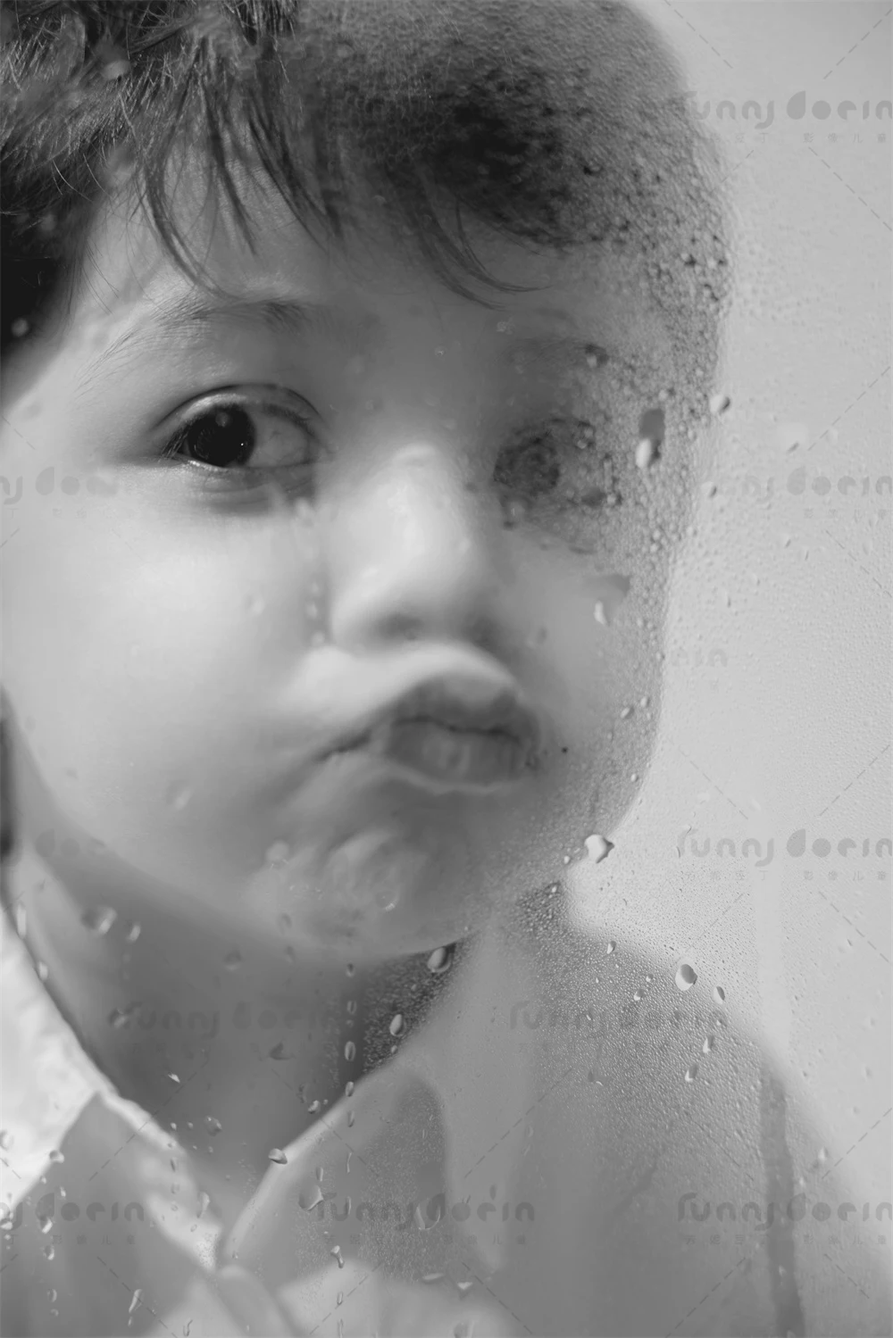 全家福 芳妮豆丁