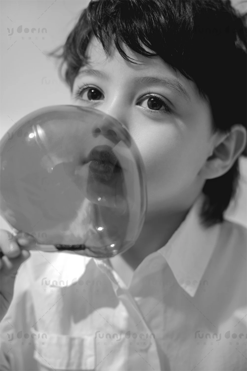 全家福 芳妮豆丁