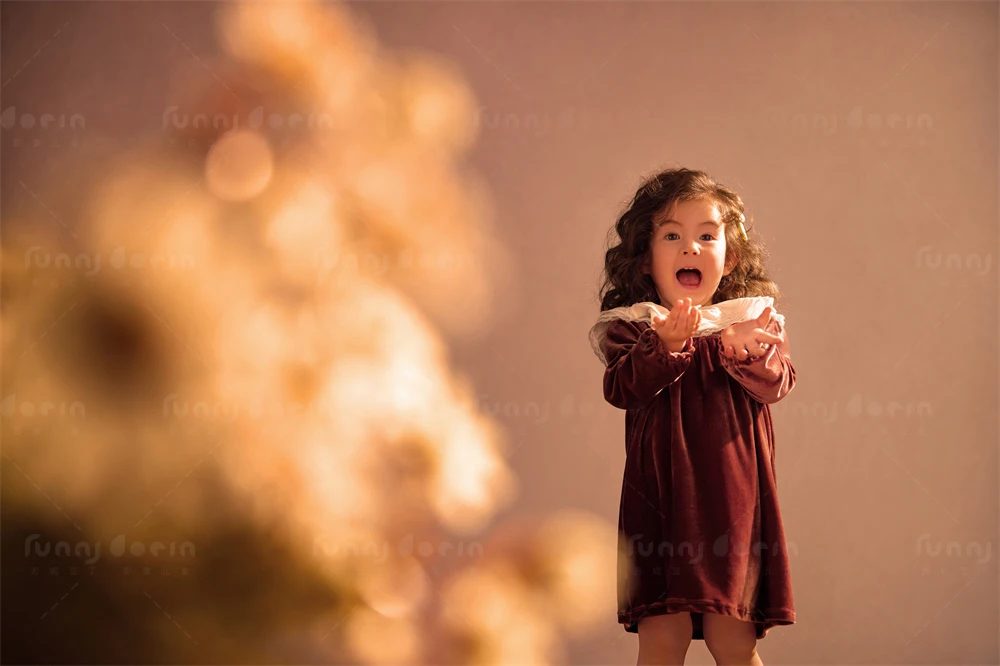 全家福 芳妮豆丁