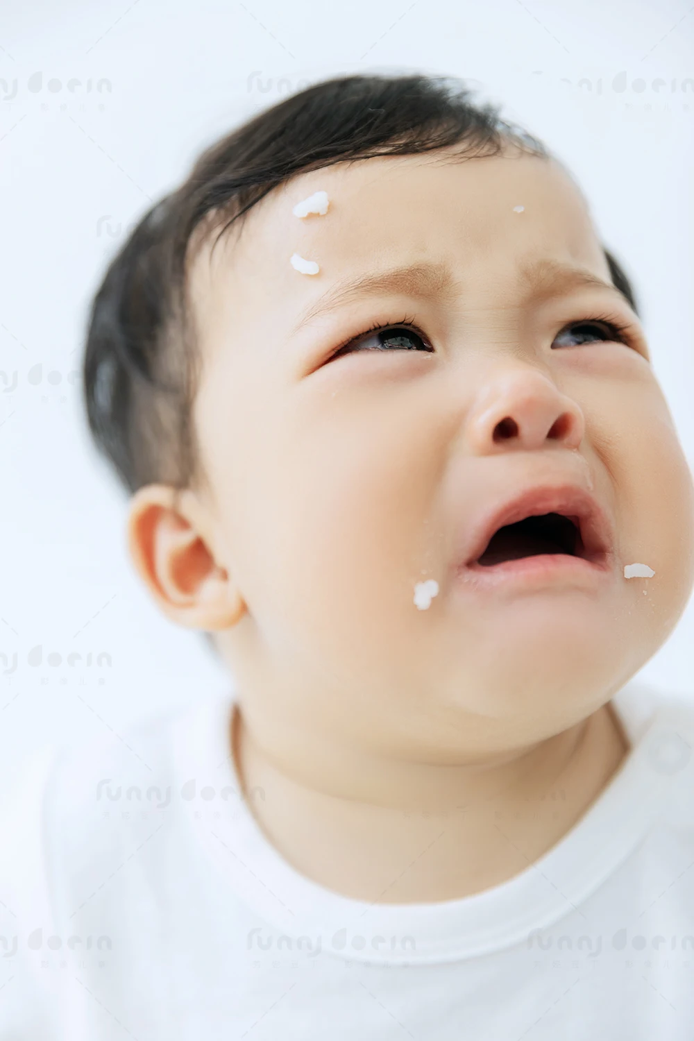 全家福 芳妮豆丁