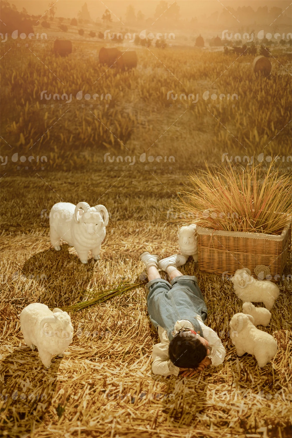 芳妮豆丁儿童摄影 几缕麦香