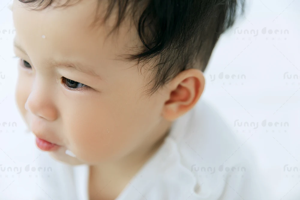 全家福 芳妮豆丁