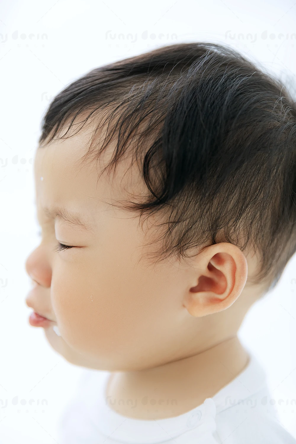 全家福 芳妮豆丁