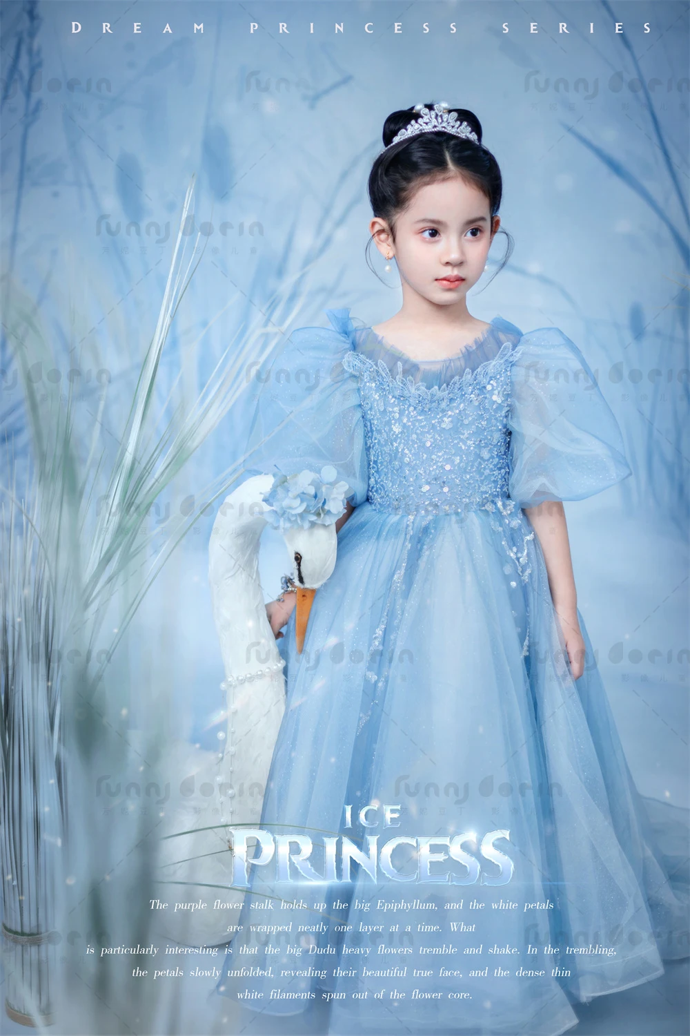 芳妮豆丁儿童摄影 艾莎公主