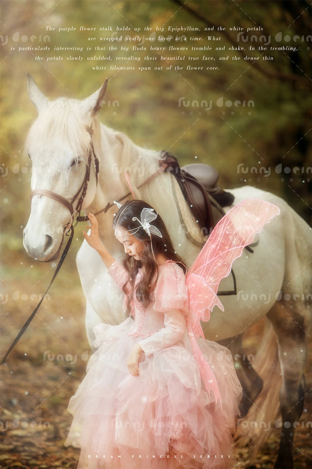 全家福 芳妮豆丁