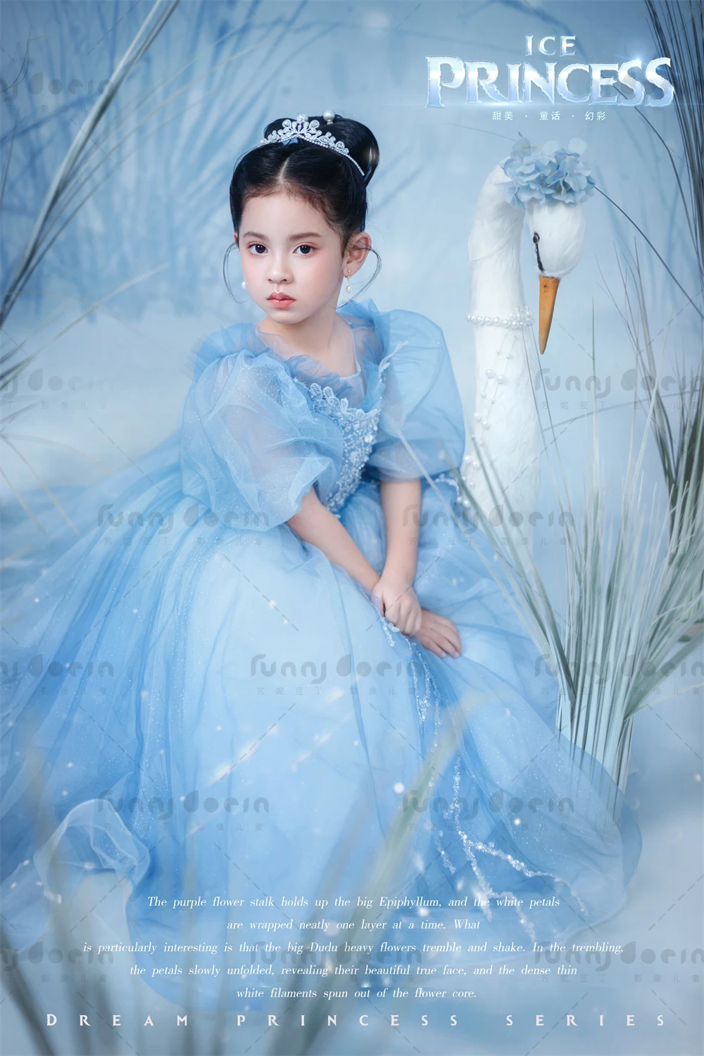 芳妮豆丁儿童摄影 艾莎公主