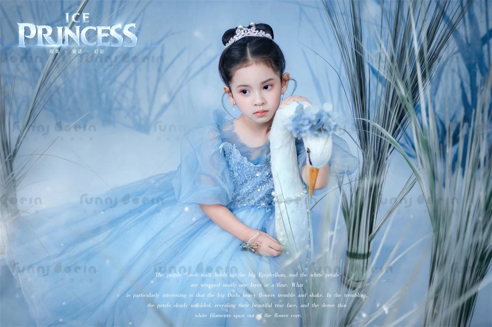 芳妮豆丁儿童摄影 艾莎公主
