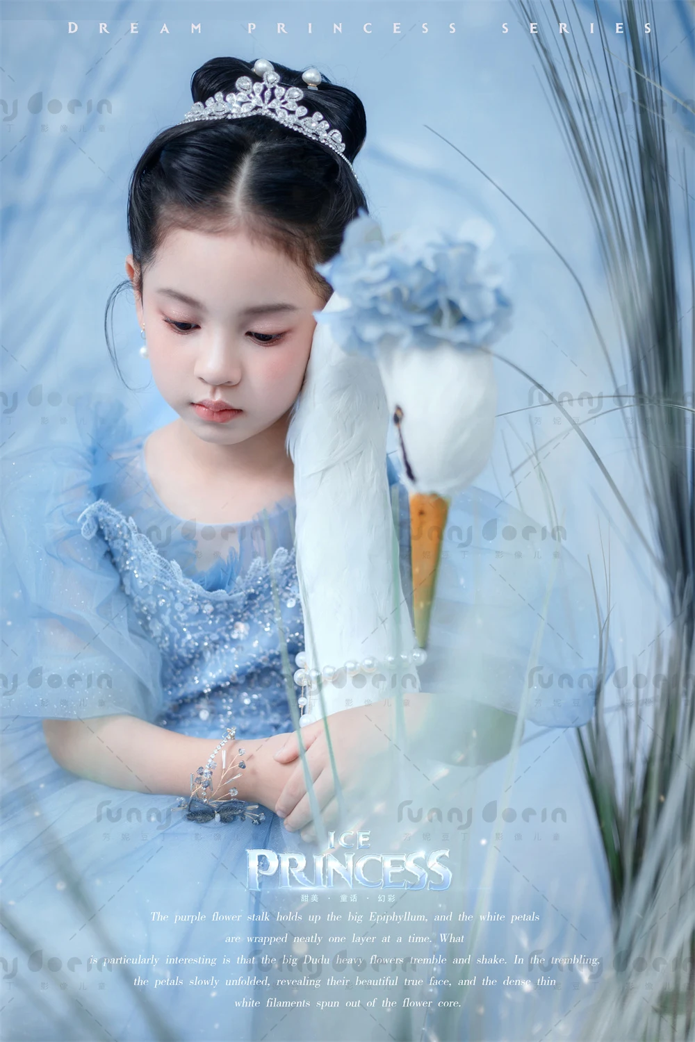 芳妮豆丁儿童摄影 艾莎公主