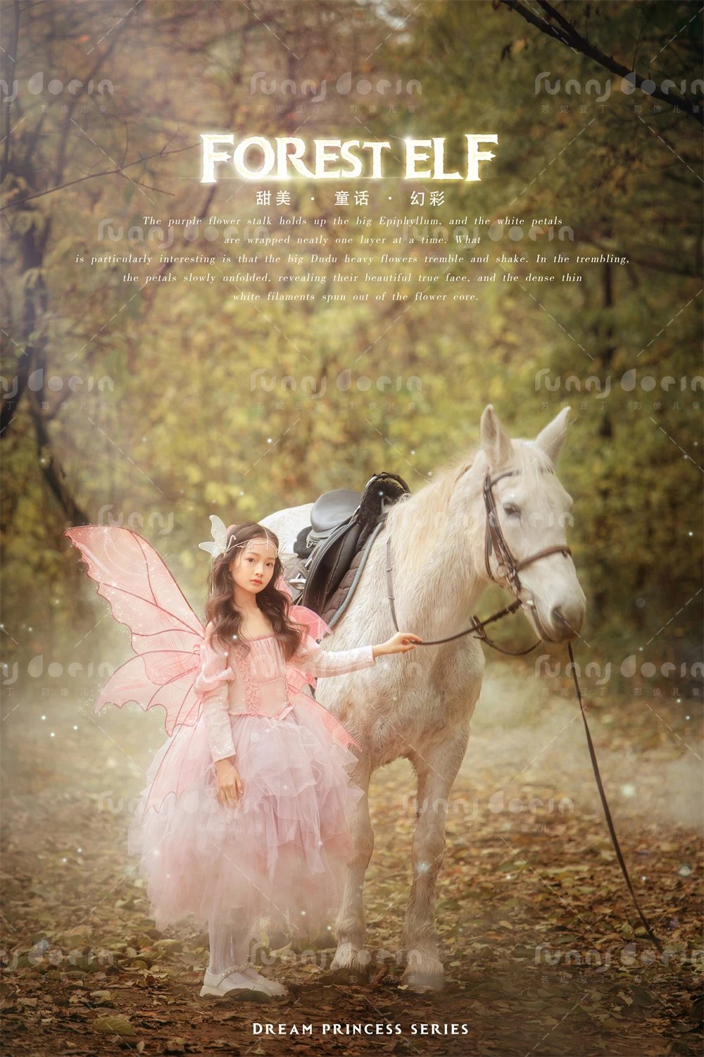 全家福 芳妮豆丁