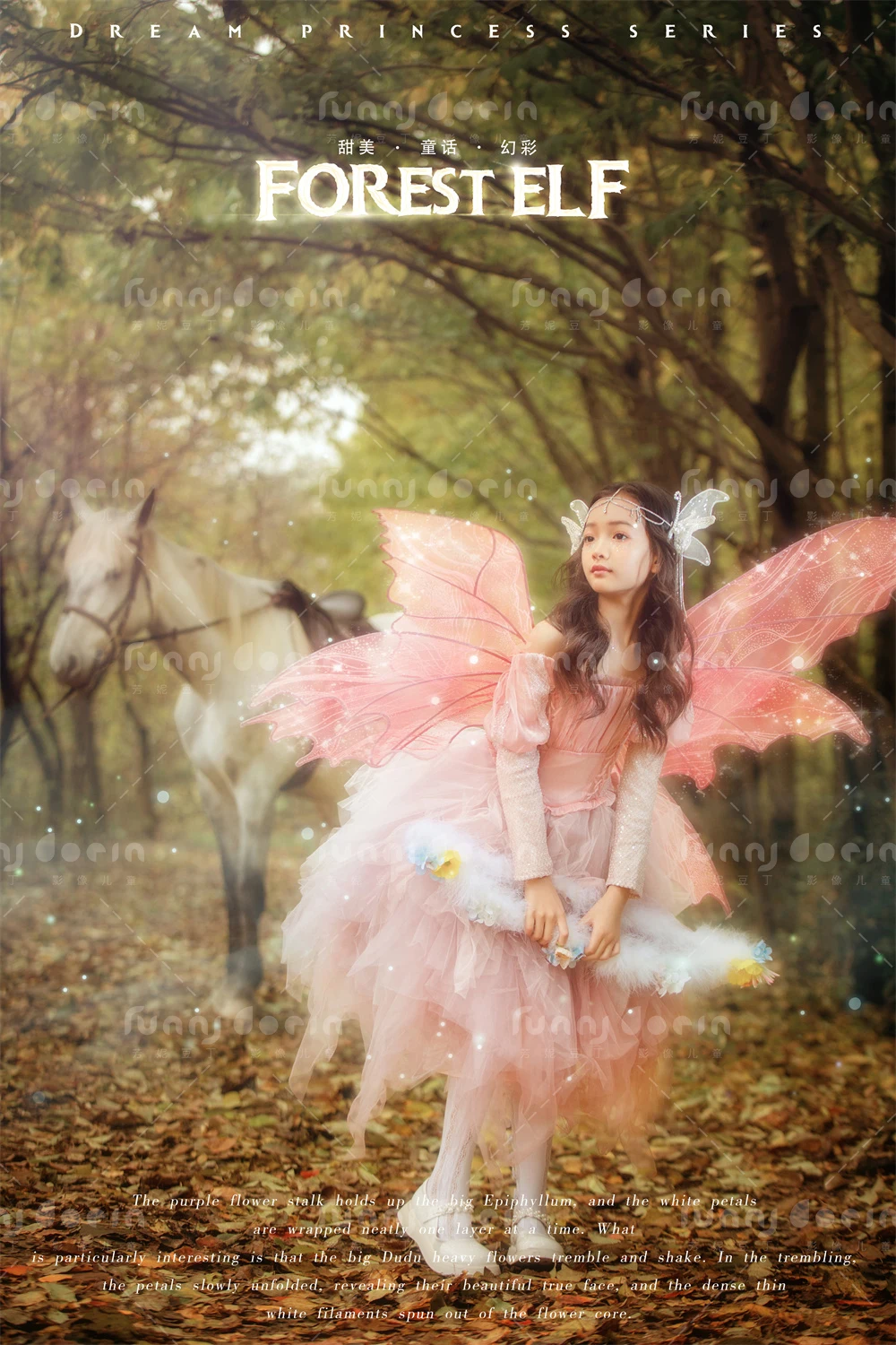 全家福 芳妮豆丁