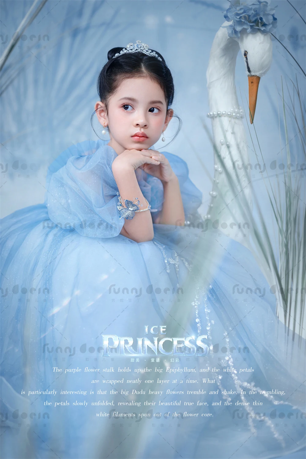 芳妮豆丁儿童摄影 艾莎公主