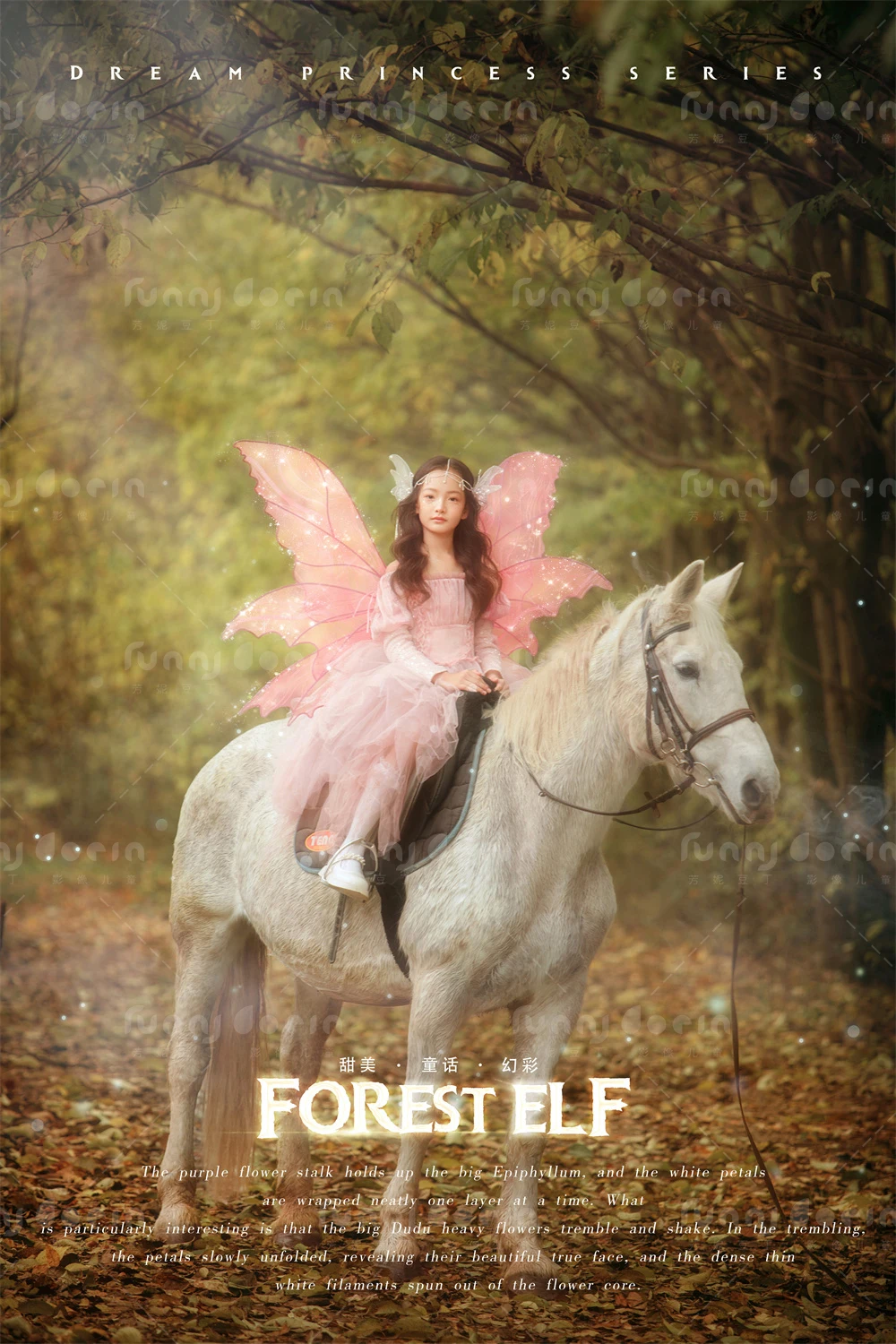 全家福 芳妮豆丁