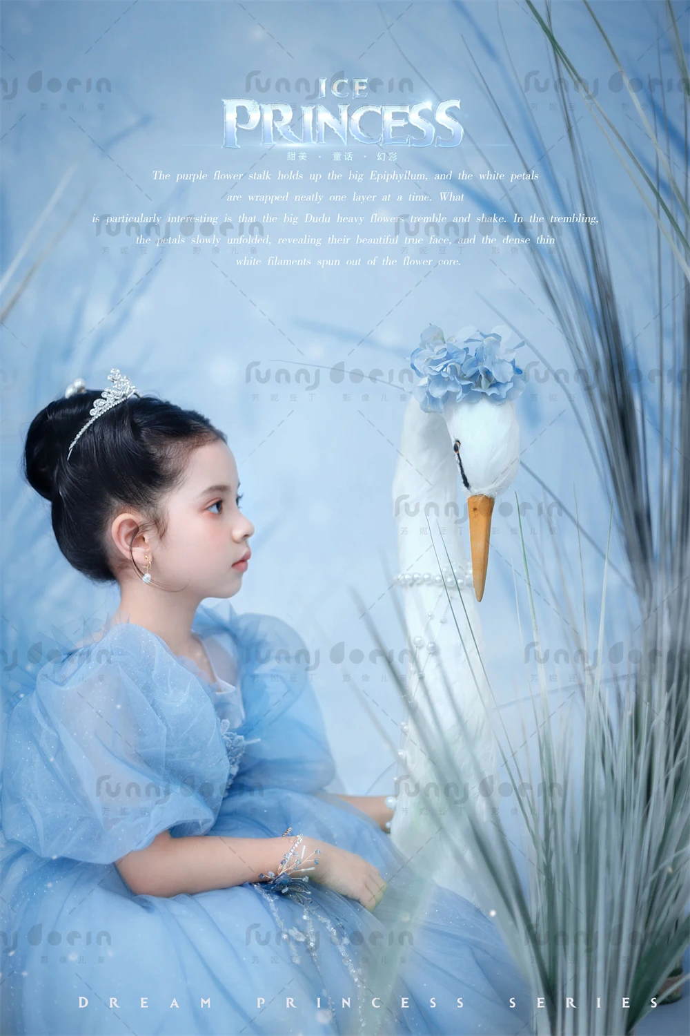 芳妮豆丁儿童摄影 艾莎公主