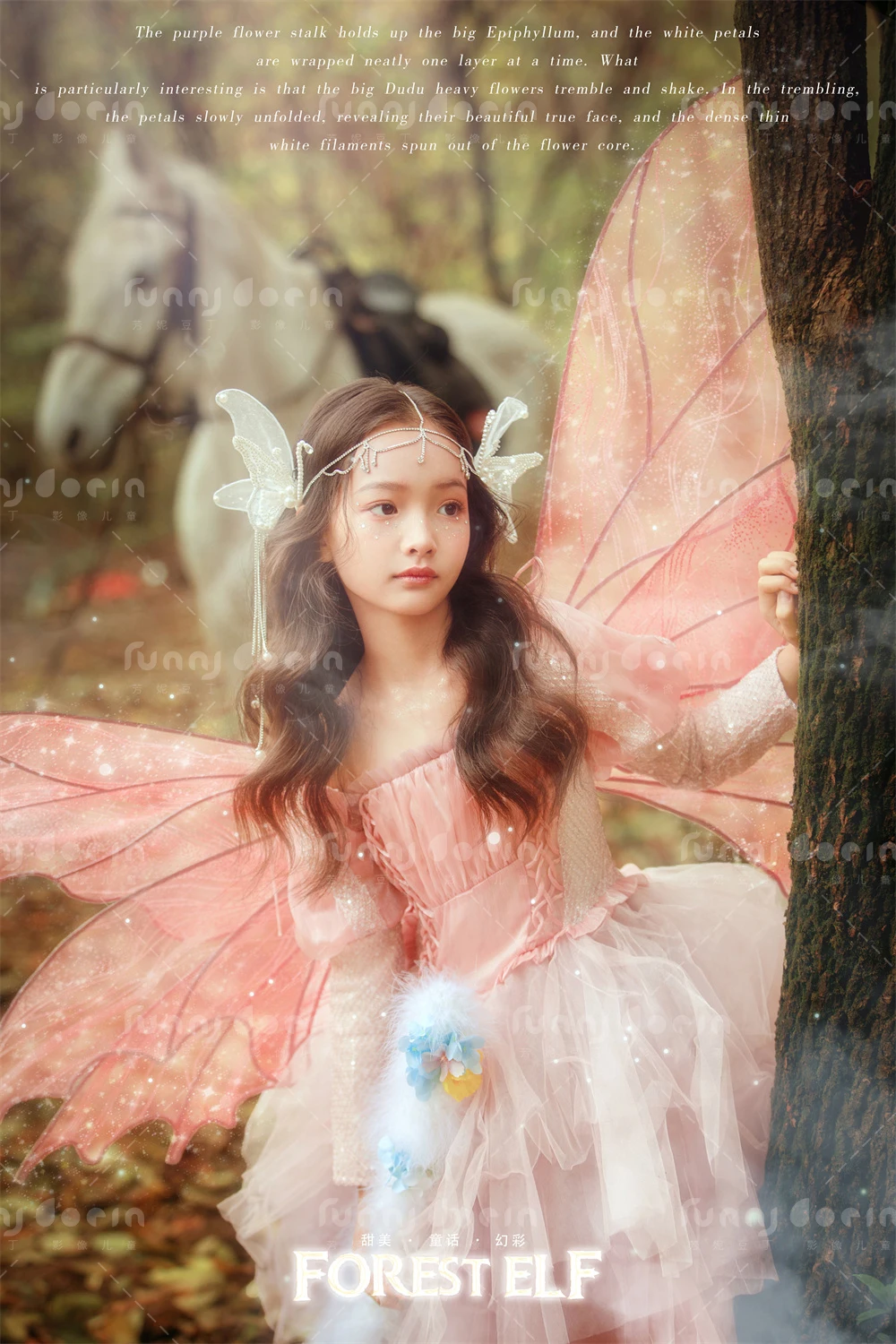 全家福 芳妮豆丁