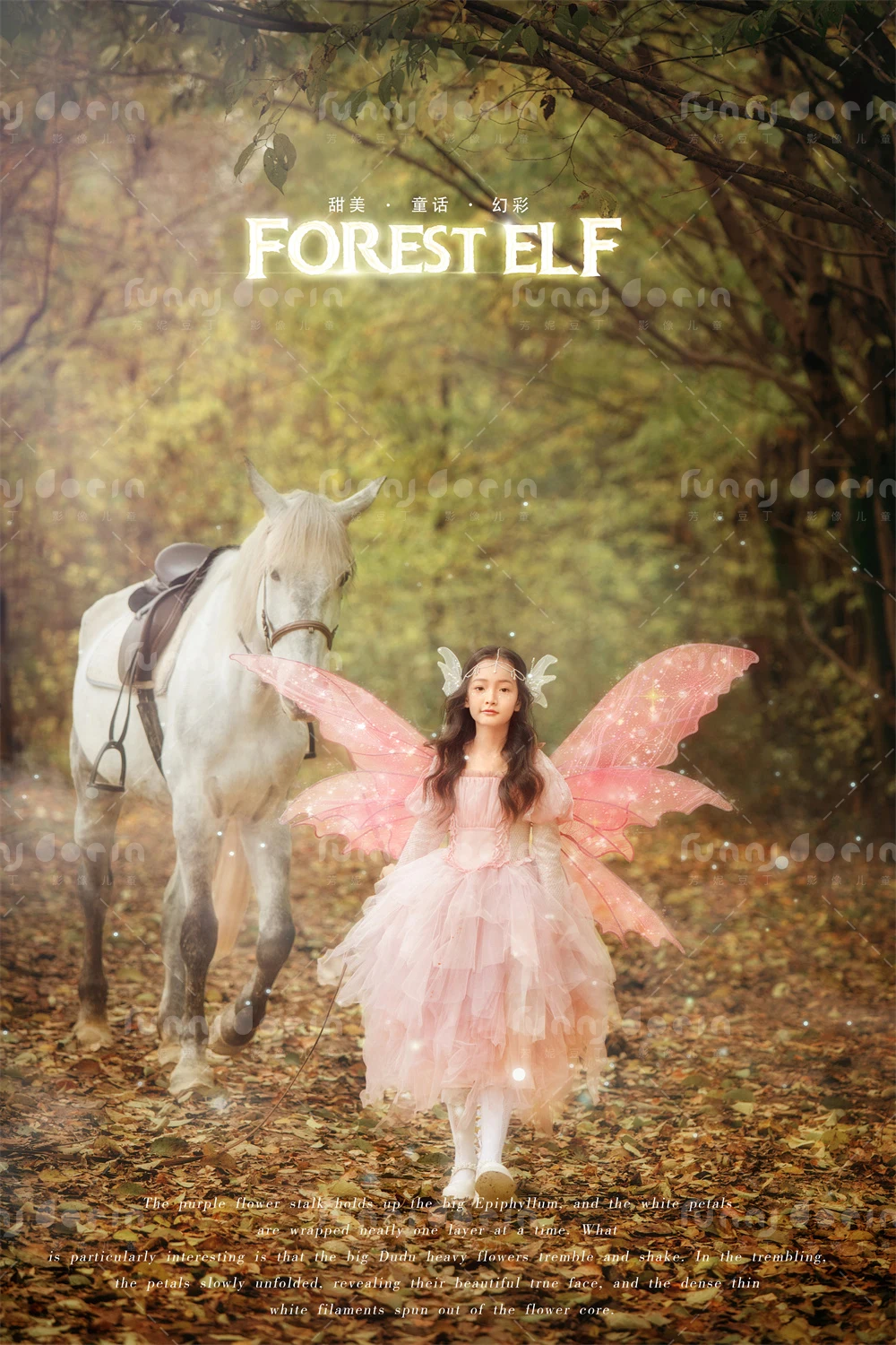 全家福 芳妮豆丁