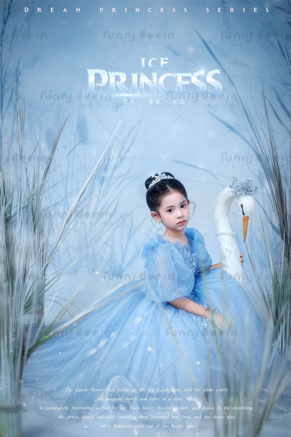 芳妮豆丁儿童摄影 艾莎公主
