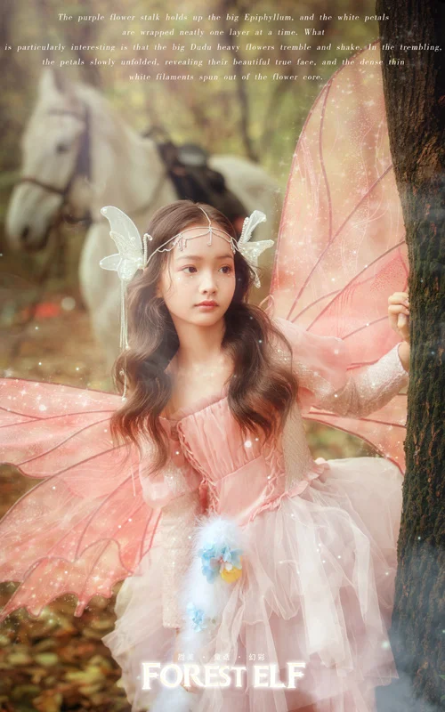 芳妮豆丁儿童摄影 马场