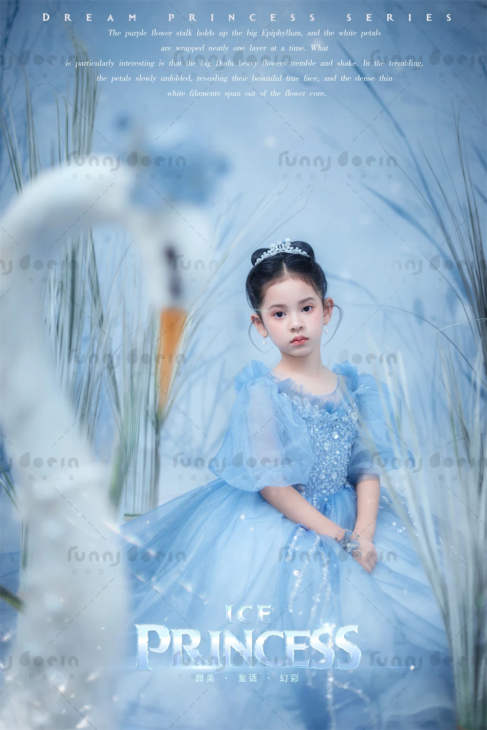 芳妮豆丁儿童摄影 艾莎公主