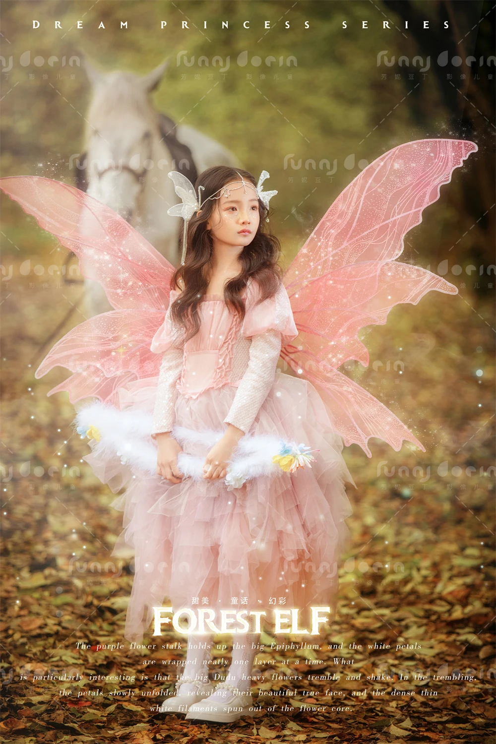 全家福 芳妮豆丁